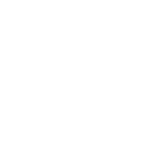 Values Icon