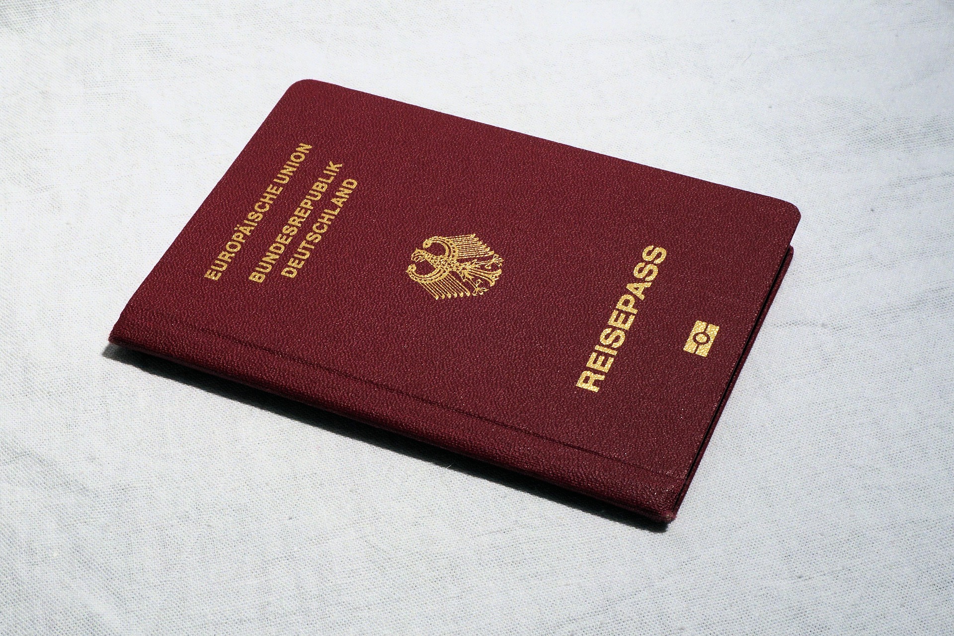 Document Translation