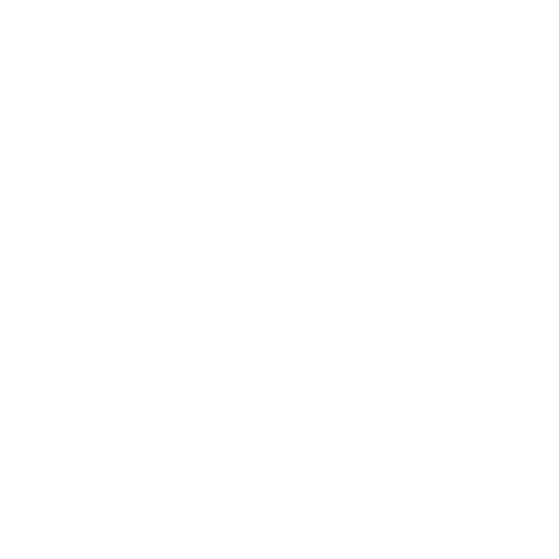 Values Icon