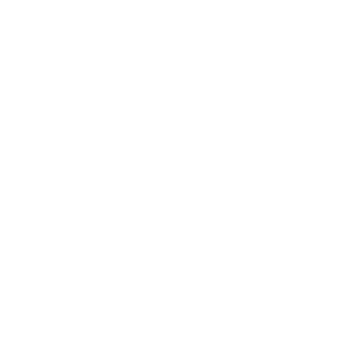 Media Icon
