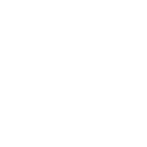 Values Icon